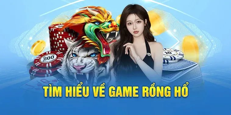 Tham Gia Dragon Tiger Tại BK8: Cơ Hội Thắng Lớn Đang Chờ Đợi!
